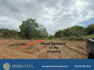 Farm Lot for Sale in Aborlan, Palawan