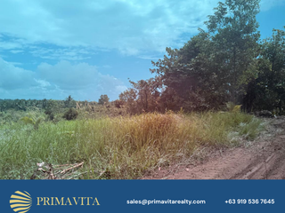 Farm Lot for Sale in Aborlan, Palawan