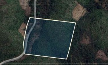 FOR SALE | 4.5 Hectares Lot in San Isidro, Asturias, Cebu - 45,285 SQM