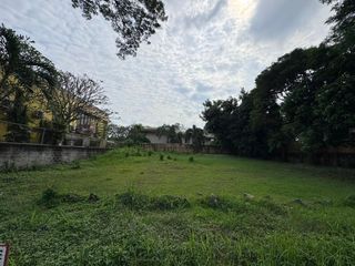 Ayala Alabang Village Lot | Prime Location | Rare Cut