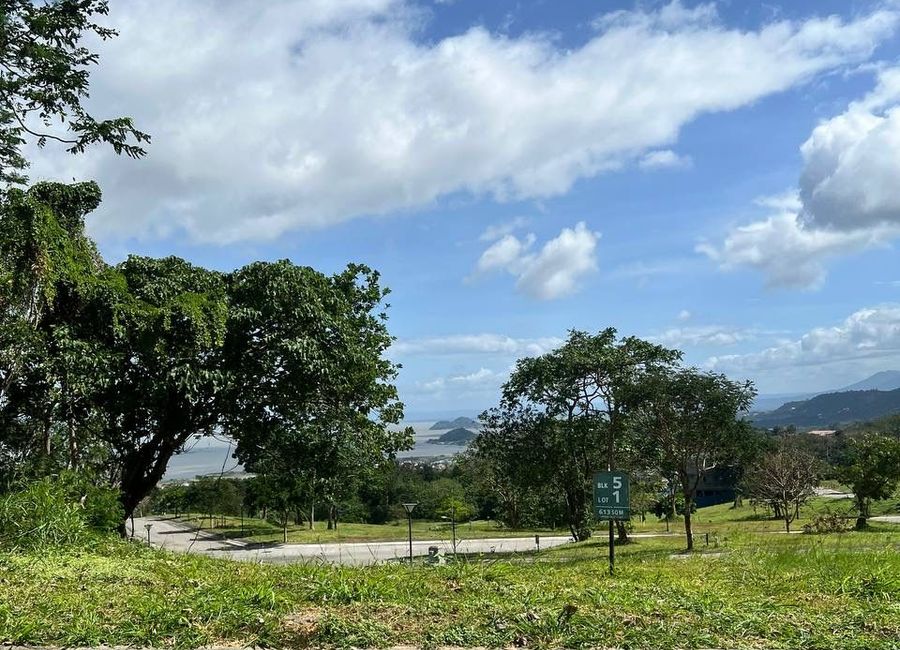 Spine Road, Ayala Greenfield Estates, Maunong, Calamba, Laguna image 3