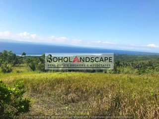 Overlooking Lot for Sale in Tangnan, Loon, Bohol