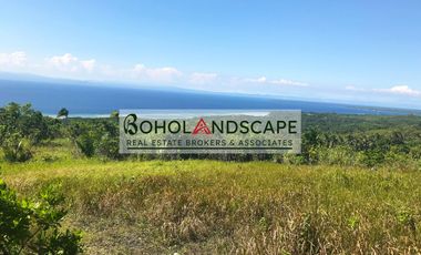 Overlooking Lot for Sale in Tangnan, Loon, Bohol