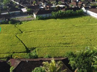 Dijual Tanah Pinggir Jalan Utama Kediri Tabanan - Super Strategis