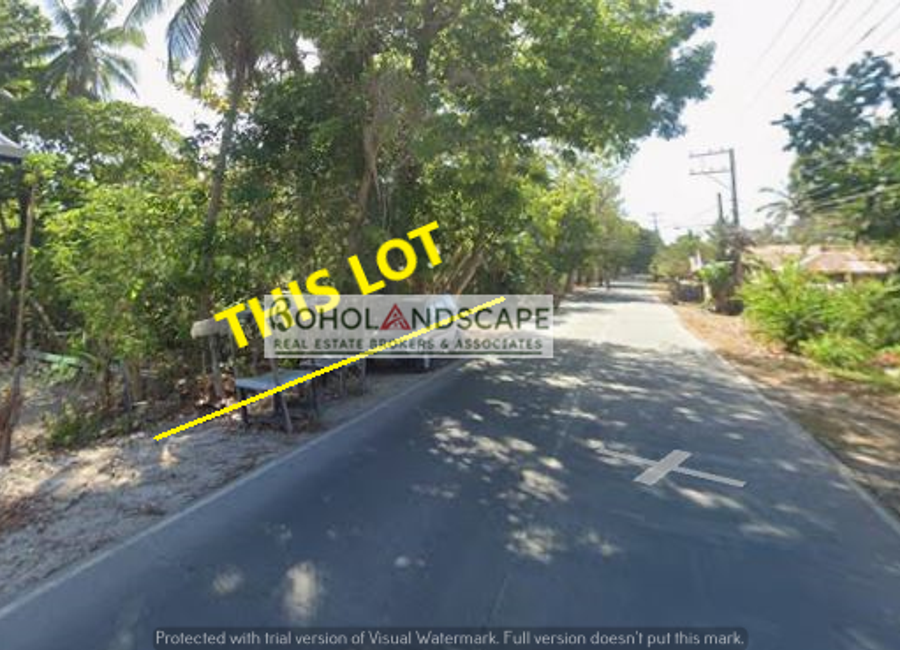 place photo 4