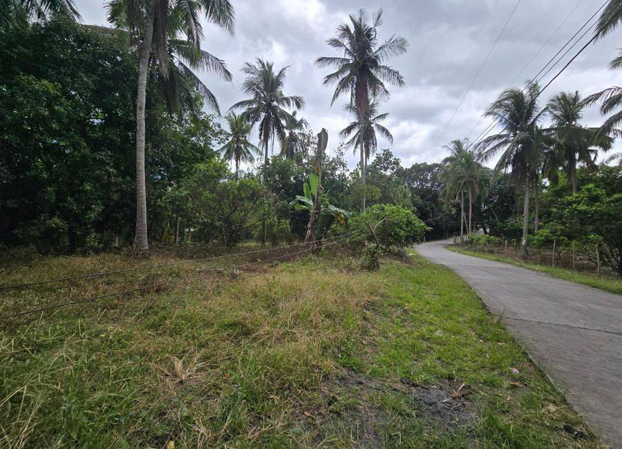Batangas-Quezon Road, Poblacion, Sampaguita, San Antonio, 2nd District, Quezon
