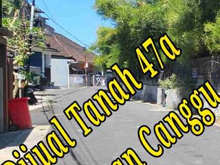 Dijual Tanah 47a di Jln induk Tiying Tutul Pererenan Canggu Bali