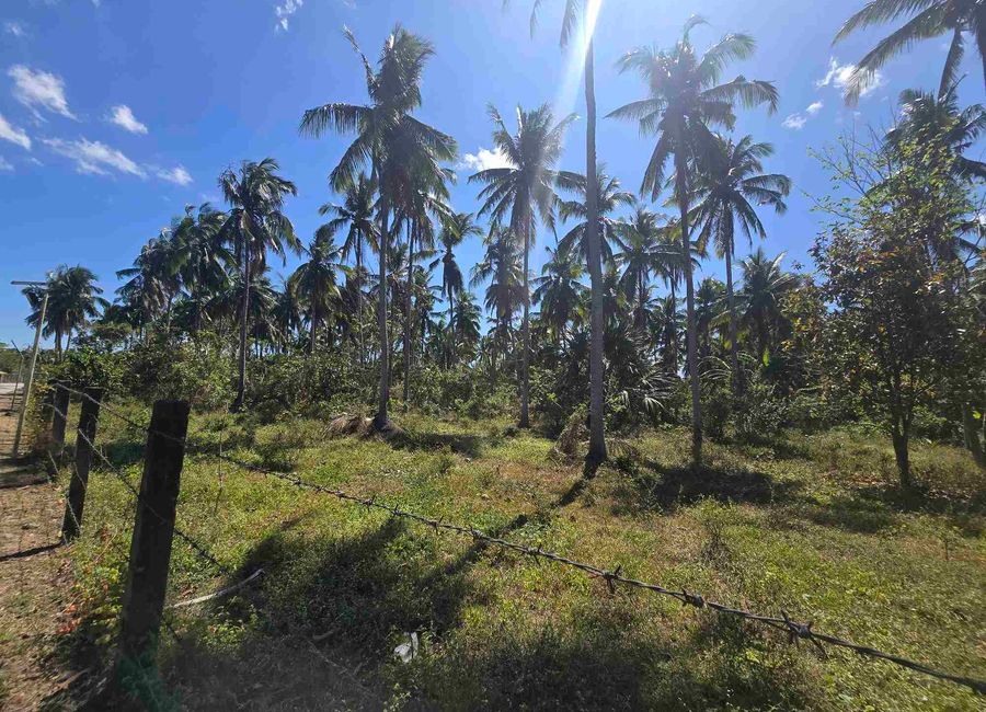 Buliran, San Antonio, 2nd District, Quezon