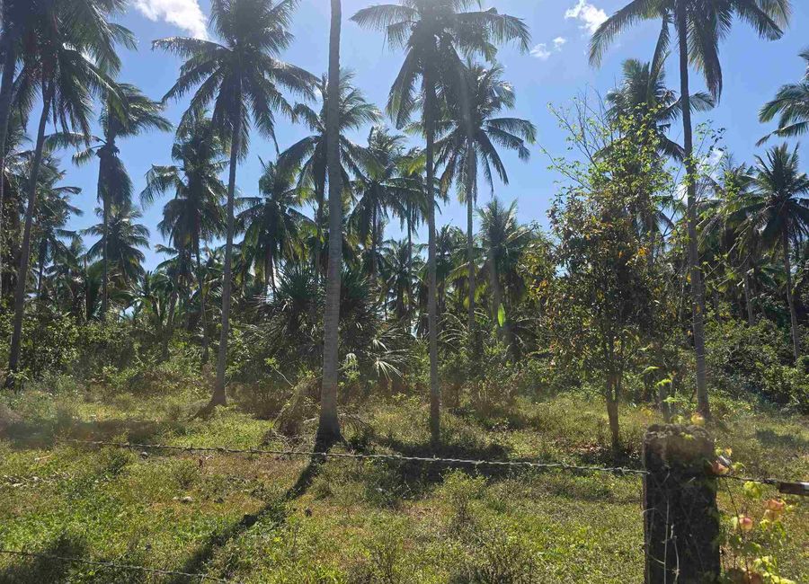 Buliran, San Antonio, 2nd District, Quezon image 2