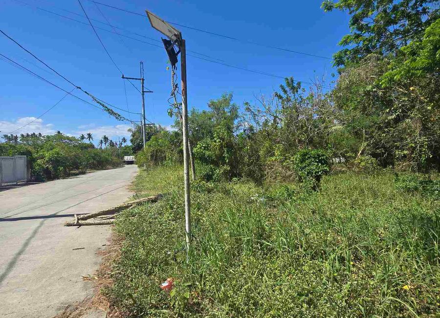 Batangas-Quezon Road, Poblacion, Sampaguita, San Antonio, 2nd District, Quezon