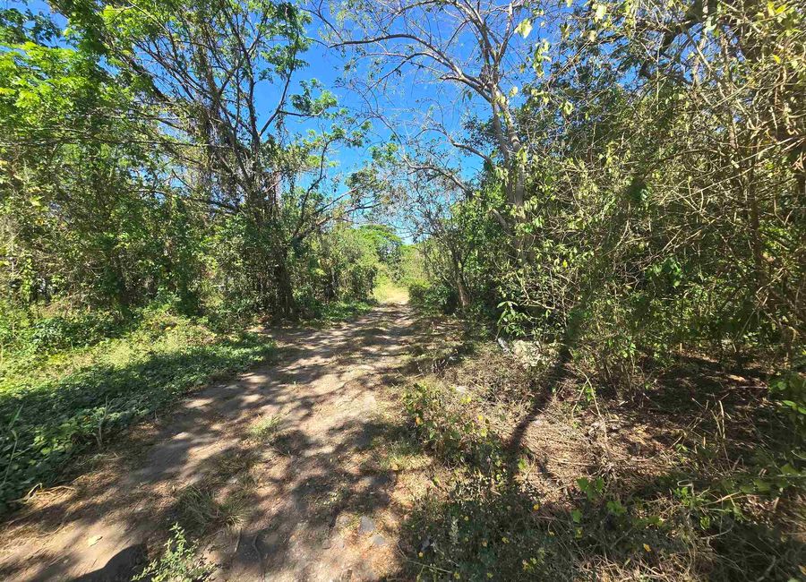 Batangas-Quezon Road, Poblacion, Sampaguita, San Antonio, 2nd District, Quezon image 2