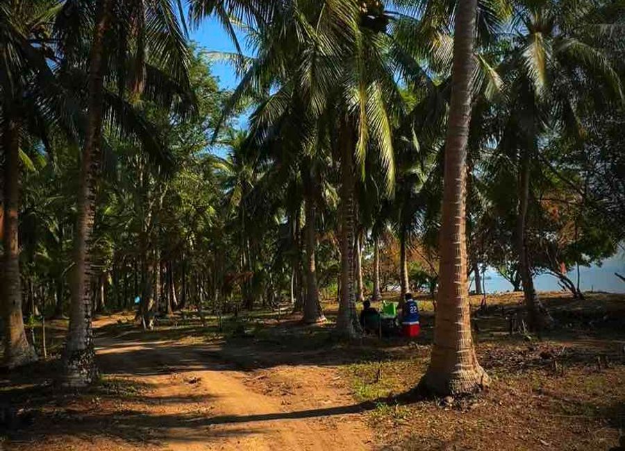 Capuluan, Guinayangan, Quezon