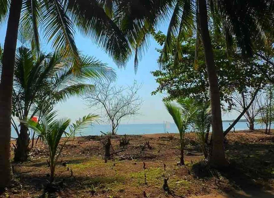 Capuluan, Guinayangan, Quezon image 2