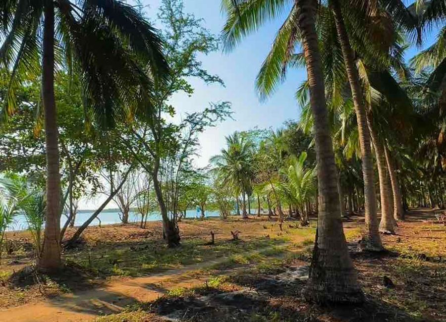 Capuluan, Guinayangan, Quezon image 3