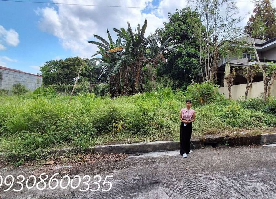 Richdale Subdivision, Santa Cruz, Antipolo, Rizal image 2