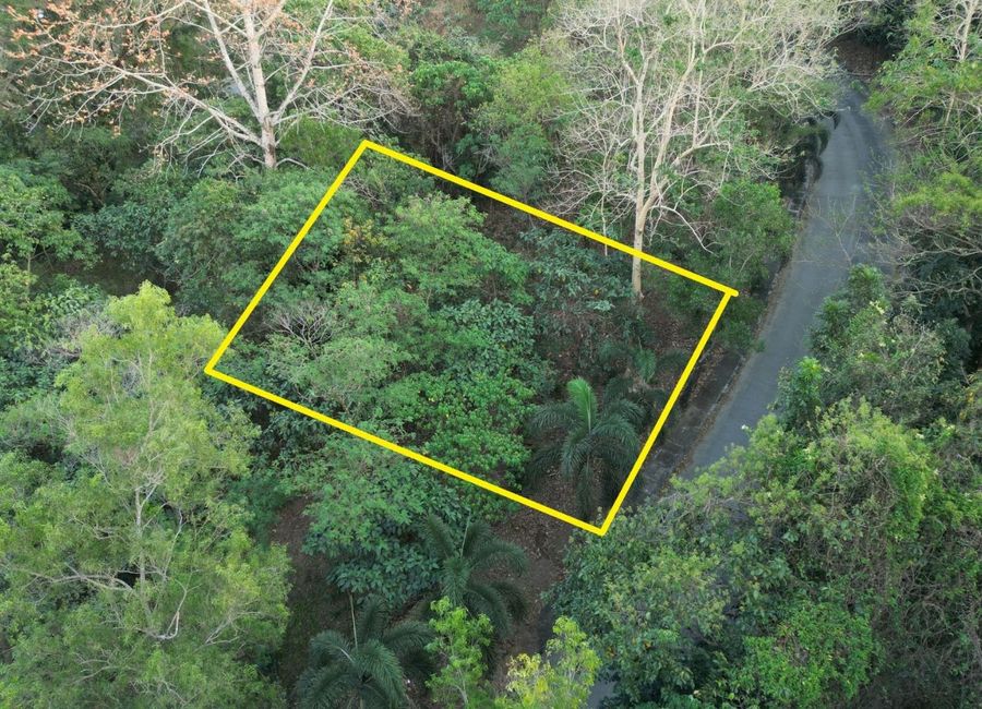 Parkridge Drive, Park Ridge, Santa Cruz, Antipolo, Rizal