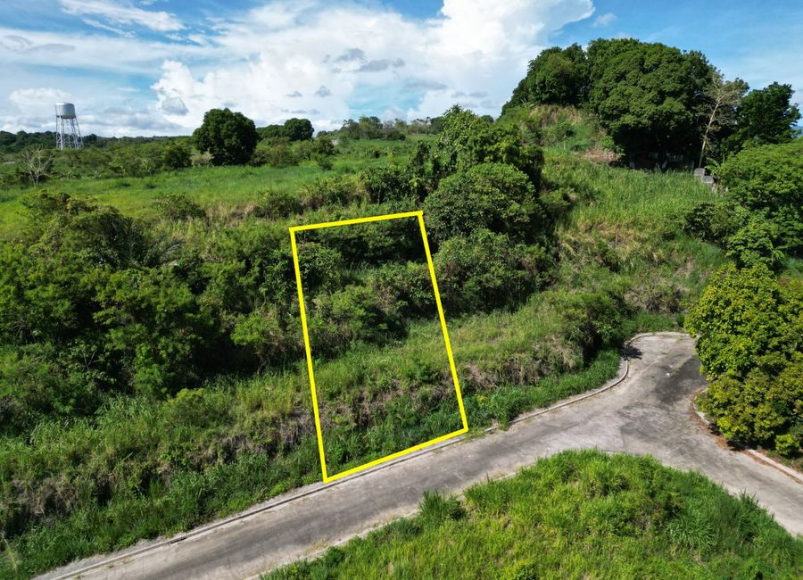 Forest Hills Avenue, Lower Tulakin, Bagong Nayon, Antipolo, Rizal image 3