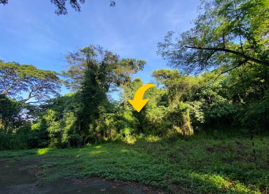 Sycamore Street, Forest Farms, Mahabang Parang, Angono, Rizal image 2