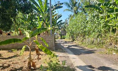Jual murah dekat pantai dan cocok buat villa