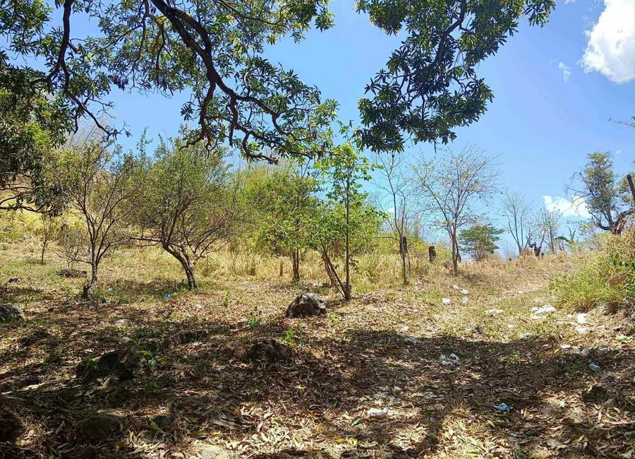 Talaga, Morong, Rizal image 3