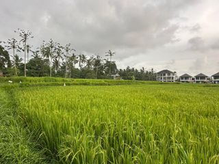 DISewakan Tanah Premium di Ubud – View Langka!