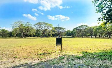 Luscara Nuvali Lot For Sale Beside Park