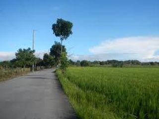 Agricultural Lot with irrigation 300 meters from highway for Sale in San Ildefonso Bulacan
