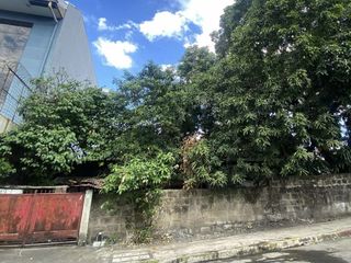 Residential Lot For Sale in Project 8, Quezon City