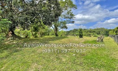 Ayala Westgrove Heights 463 sqm Lot for Sale