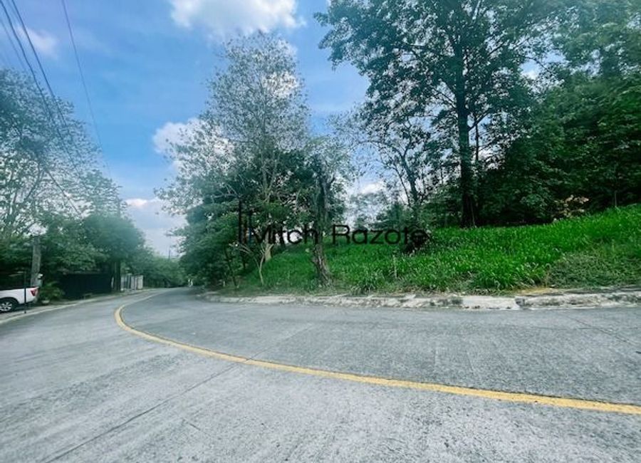 Parkridge Drive, Park Ridge, Santa Cruz, Antipolo, Rizal image 2