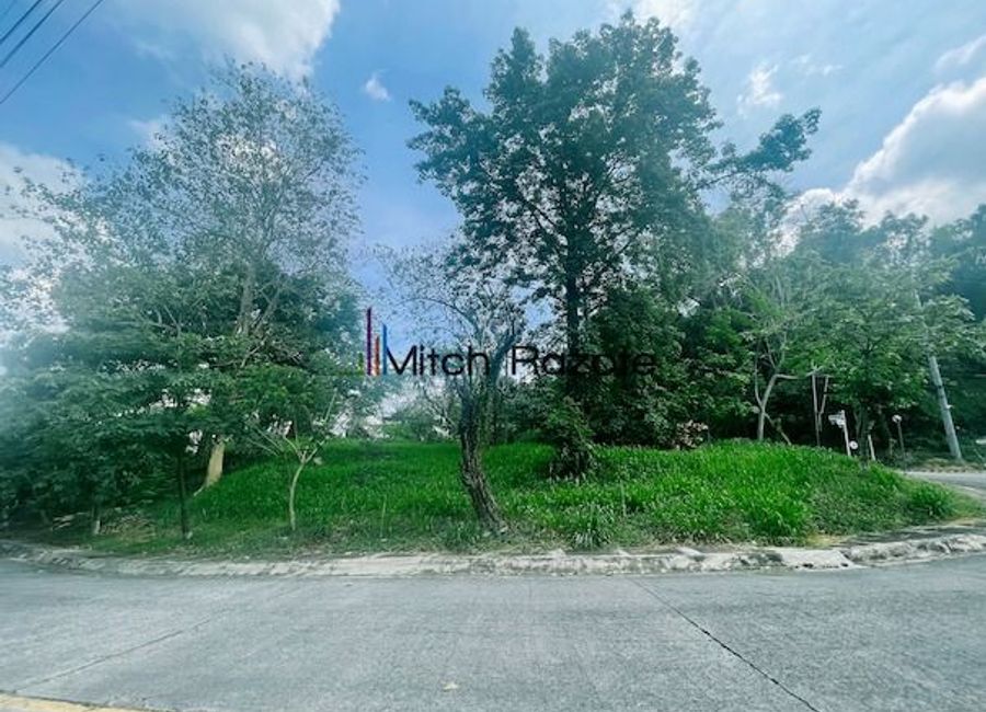 Parkridge Drive, Park Ridge, Santa Cruz, Antipolo, Rizal image 3