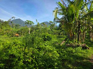 Dijual tanah murah view gunung cantik di tabanan bali
