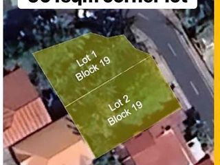 Marikina Residential corner lot 501sqm