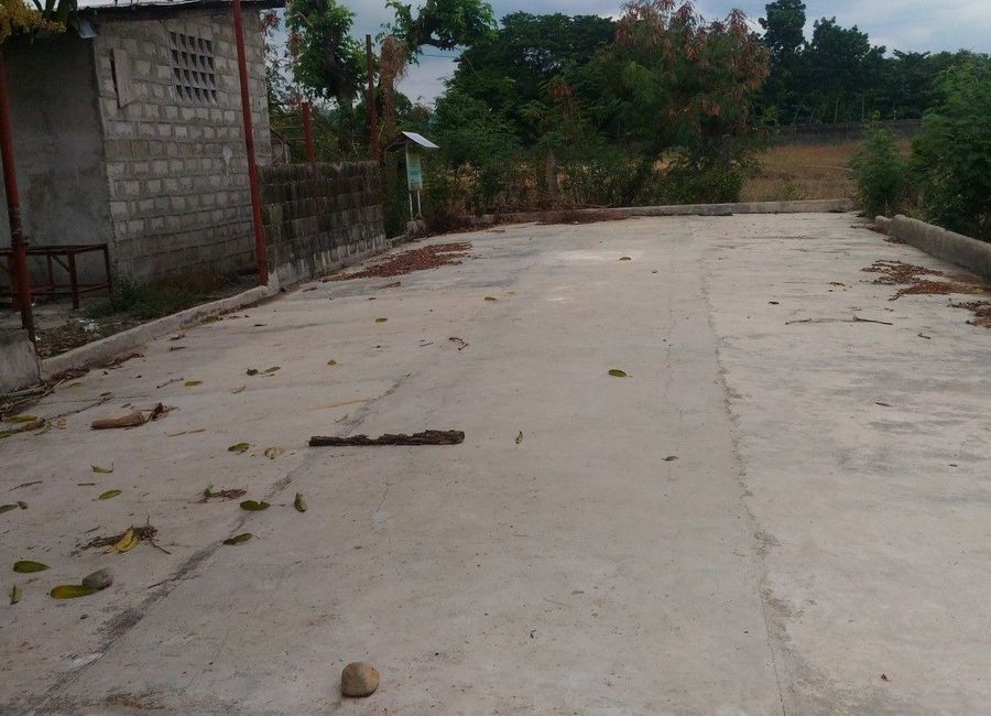 place photo 5