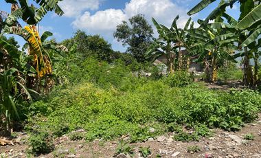 Tanah Prambanan SHM Ready 30 Meter Jl Jogja-Solo