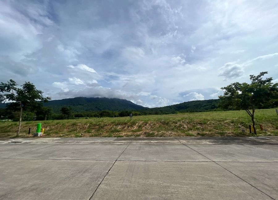 Ayala Greenfield Estates, Maunong, Calamba, Laguna image 2