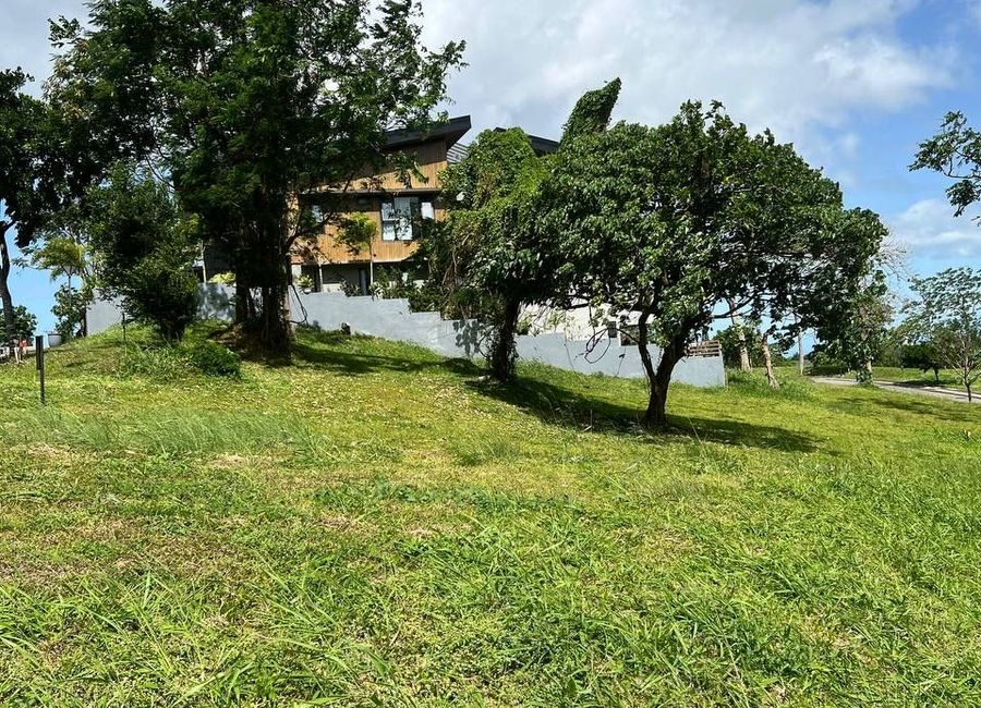 Ayala Greenfield Estates, Maunong, Calamba, Laguna image 3