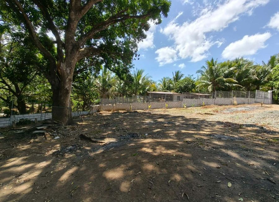 Tanay Rizal Farm lot for sale with improvement | Lamudi.com.ph