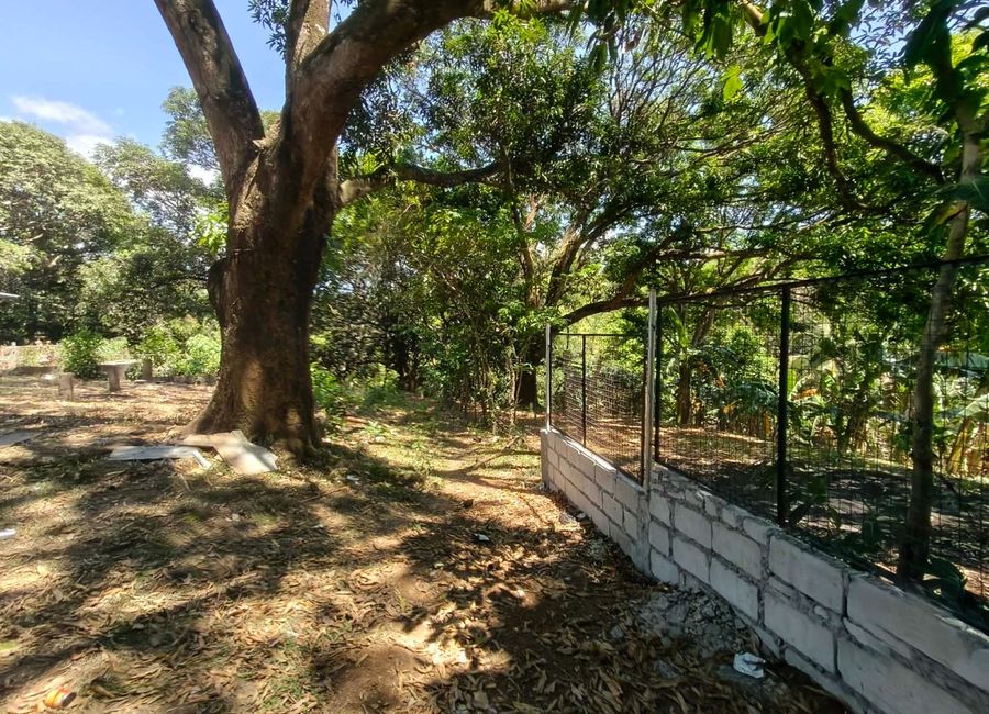G.A. Farm, Tanay, Rizal image 2