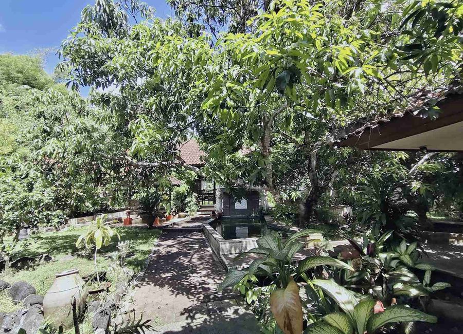 place photo 23