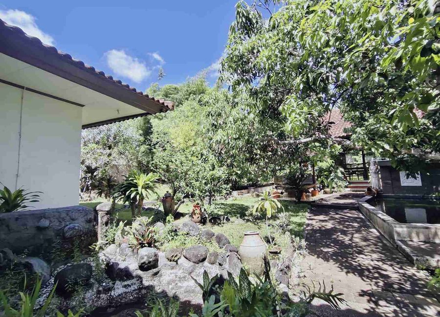 place photo 24