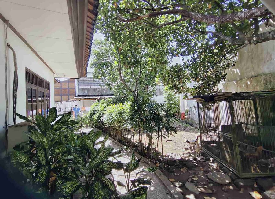 place photo 27