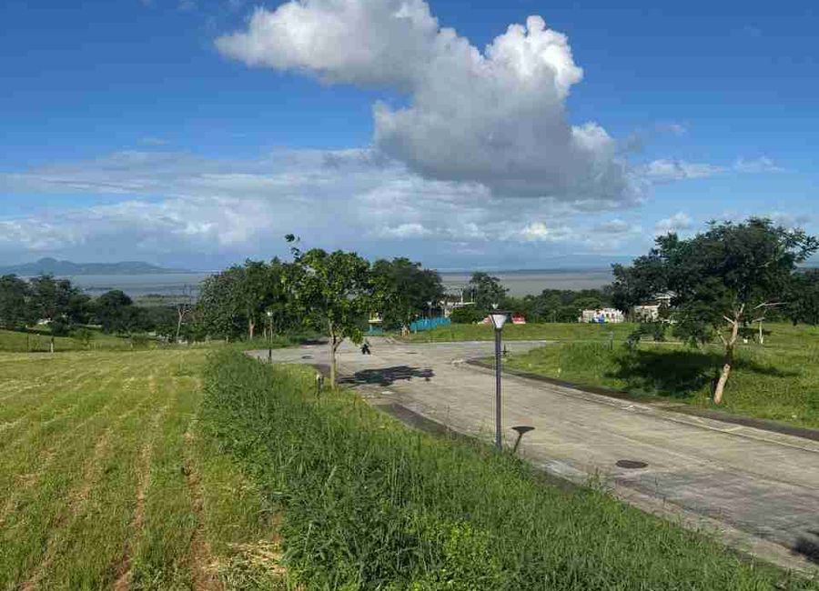 Spine Road, Ayala Greenfield Estates, Maunong, Calamba, Laguna image 2