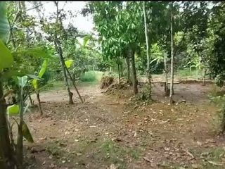 DI BAWAH NJOP! LAHAN 1.7 HA RANGKASBITUNG – PINGGIR JALAN PROVINSI – AKSES KONTAINER 40FT