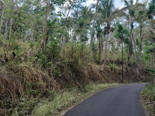 TANAH TEGALAN VIEW MENOREH AKSES ASPAL DI BARAT EMBUNGTONOROGO.JK4009
