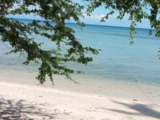 Awesome Beach Property in DaanBantayan for sale