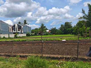 Dijual Tanah di Sepatan Cocok Dibangun Cluster
