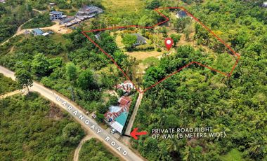 House and Lot for Sale - 2 Villas on 1.5 Hectares with Pool - Tiptip, Tagbilaran