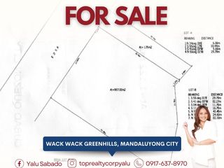 For Sale Prime Commercial Lot along EDSA–Shaw, Wackwack Greenhills, Mandaluyong City
