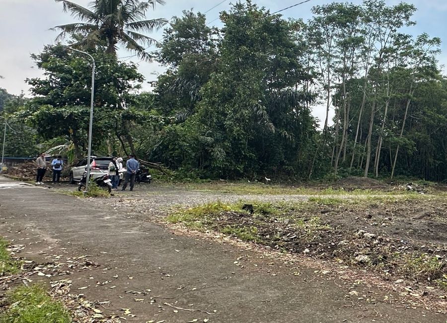place photo 6